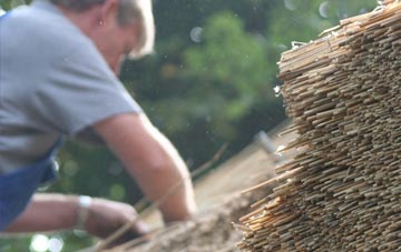 professional Bewlie thatchers